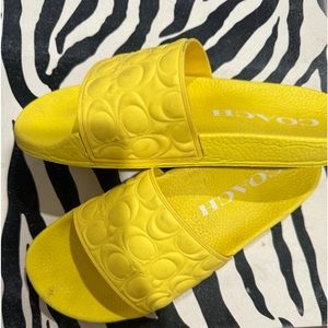 Yellow sporty slides